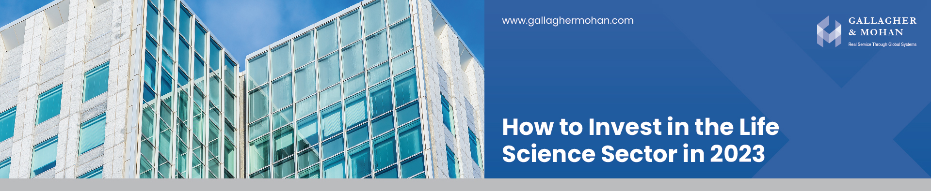 How To Invest In The Life Science Sector In 2023